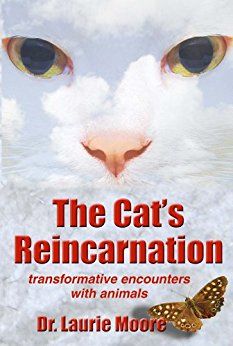 The Cat's Reincarnation book cover