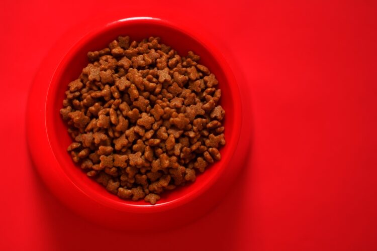 healthy living for pets bowl