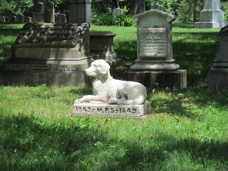 loss of a pet grave