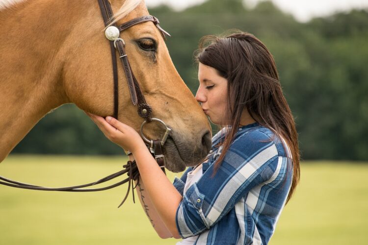 horse whispering b