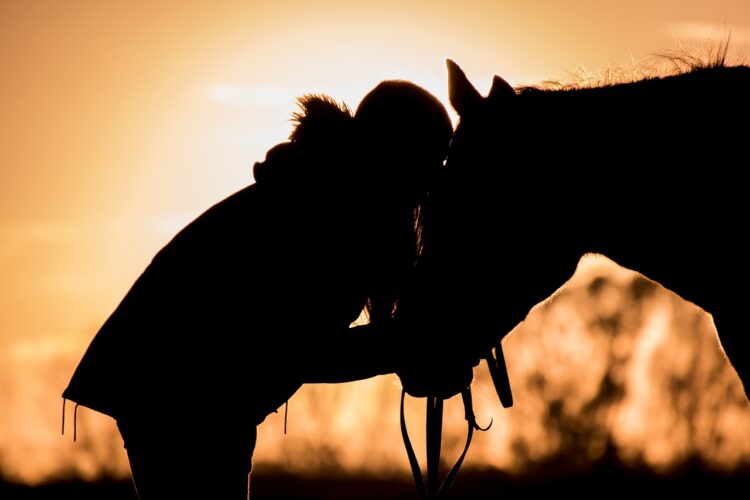 horse whispering c