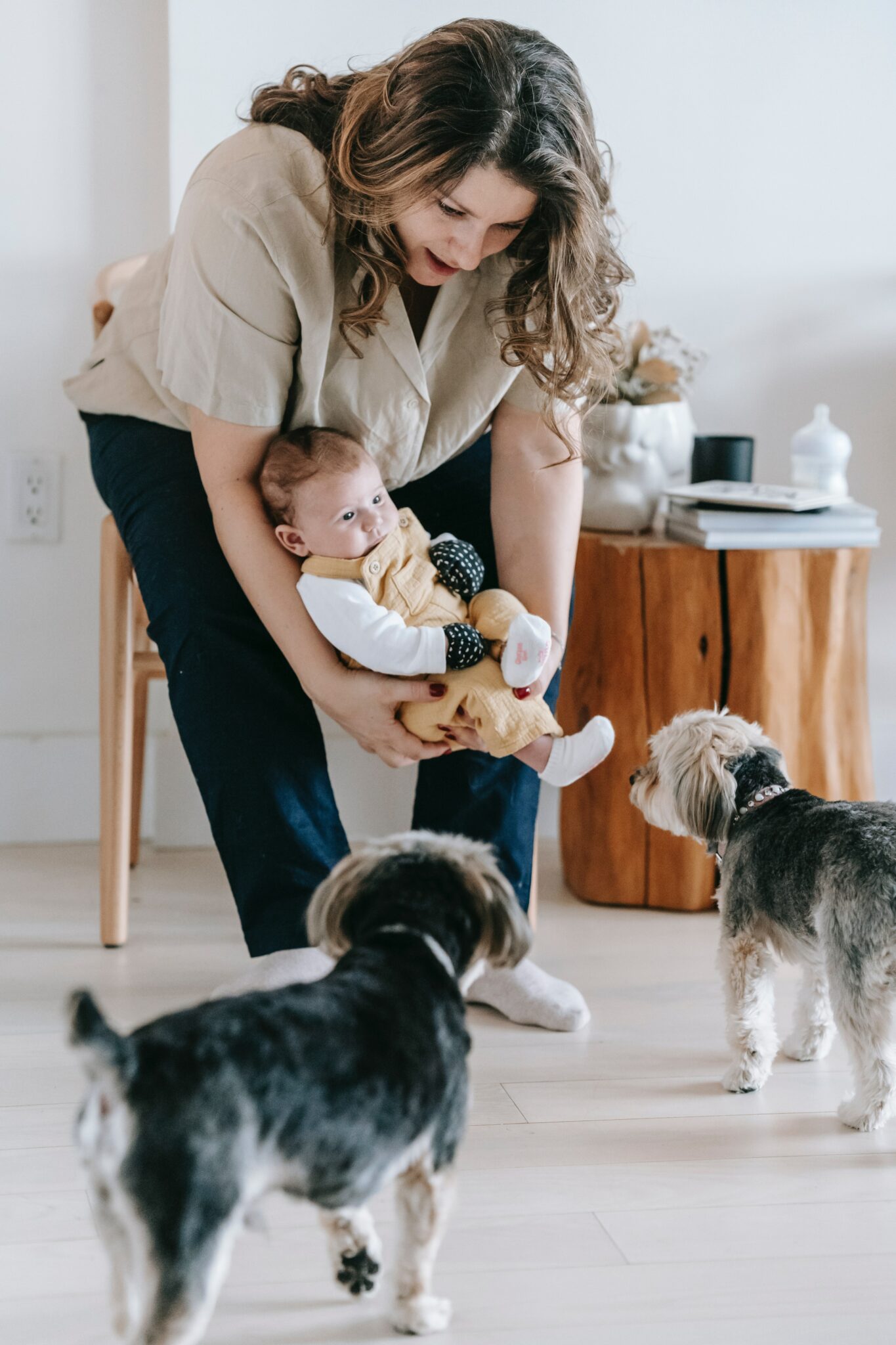 3 Smart Tips on How to Introduce Your New Baby to Your Pet Val Heart