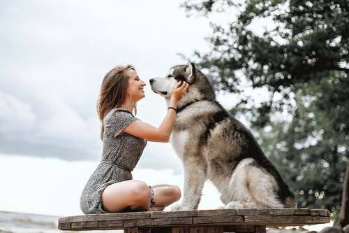 Human Animal Communication Training With Professional Animal Communicator  Val Heart - Val Heart