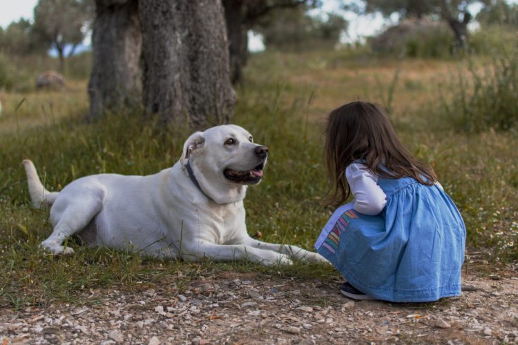 unconditional love