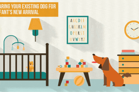 preparing your dog