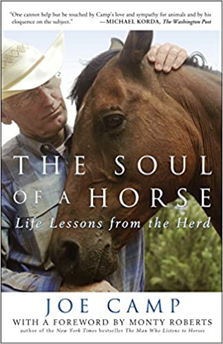 soul of a horse 2