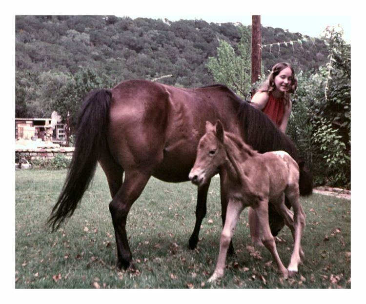 horse whisperer Val Heart