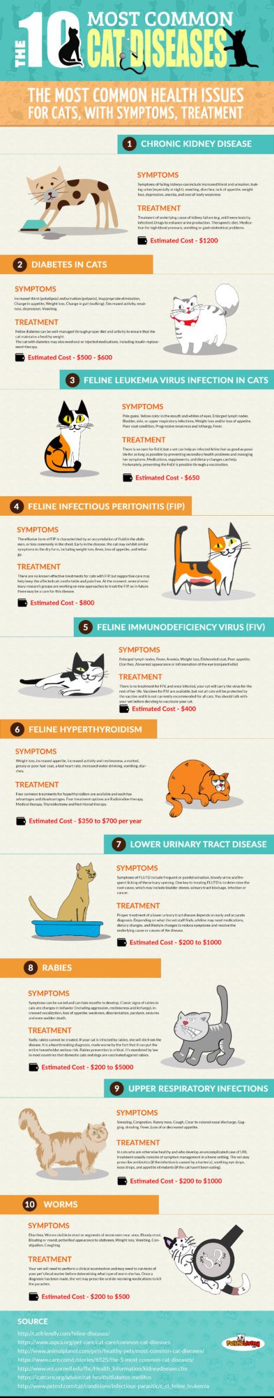 common-cat-diseases