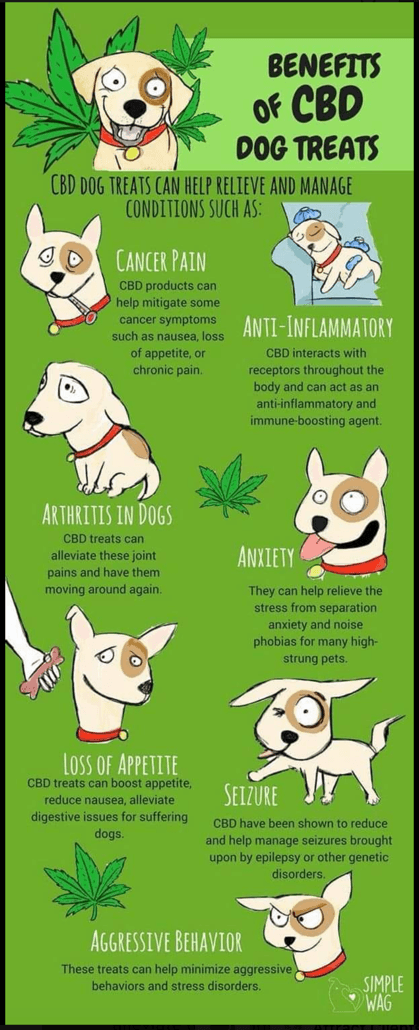 CBD Oil Benefits Dog Treats Infographic