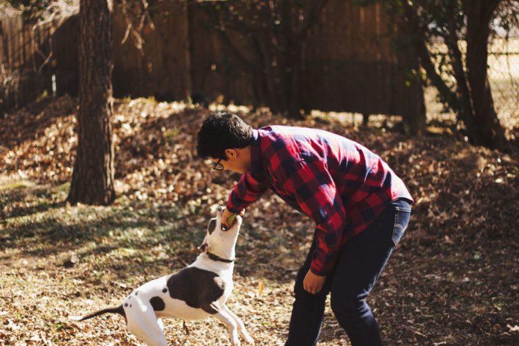 How Do You Know if You’re Really Communicating With Animals?