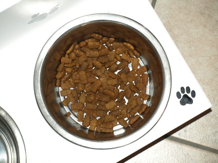 best dog food for taurine deficiency
