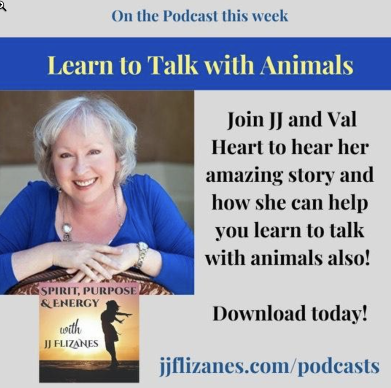 talk with animals jjflizanes