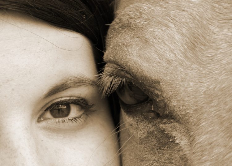 BodyMind Connection 2