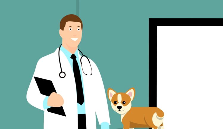 Parvovirus