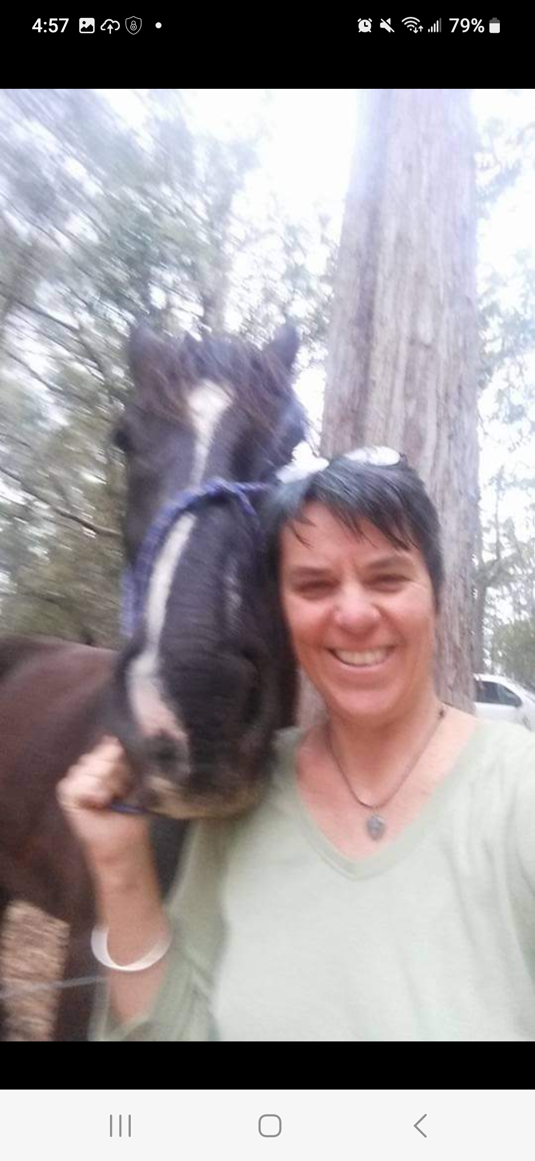 Jann Jeffries Miracle Healing with horse