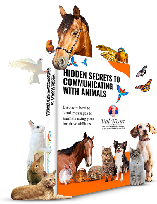 Get your free ebook: Hidden Secrets to communicating with Animals 