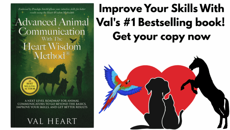 Animal Communicator